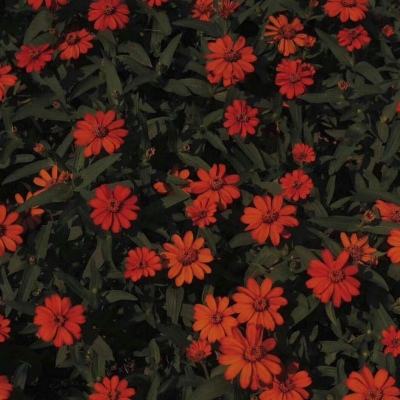 直击中信银行业绩会，“新十万亿银行”今年怎么干？